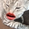 みずきさんのプロフィール画像
