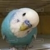 えむけいさんのプロフィール画像