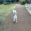 saccoさんのプロフィール画像