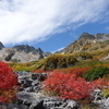 広島さんさんのプロフィール画像