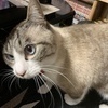 キムシさんのプロフィール画像