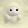らいらいさんのプロフィール画像