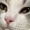 ぽにょさんのプロフィール画像