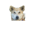 たかさんのプロフィール画像