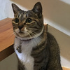 シュン37さんのプロフィール画像