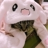 あやぽんさんのプロフィール画像