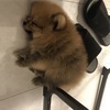 royさんのプロフィール画像
