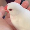 ふみさんのプロフィール画像