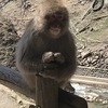 たいちさんのプロフィール画像