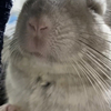 もりたろーさんのプロフィール画像