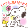 ぽっぽさんのプロフィール画像