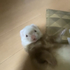 NNさんのプロフィール画像