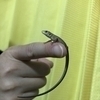 OMIさんのプロフィール画像