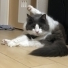 みちさんのプロフィール画像