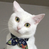 ゆんゆんさんのプロフィール画像