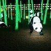 タマゴさんのプロフィール画像