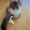 prinさんのプロフィール画像