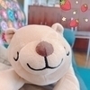 Shohei Mさんのプロフィール画像
