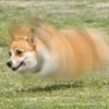 ドリアンさんのプロフィール画像