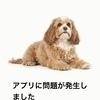 たたたさんのプロフィール画像