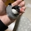 みのちんさんのプロフィール画像