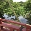 めぐみさんのプロフィール画像