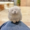 オーロラさんのプロフィール画像