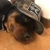 よんさんのプロフィール画像