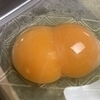 ふぁいあうっどさんのプロフィール画像
