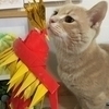 mocoさんのプロフィール画像