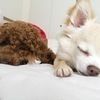 りゅうママさんのプロフィール画像