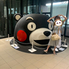 はなさんのプロフィール画像