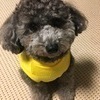 エルママさんのプロフィール画像