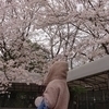 kaoriさんのプロフィール画像