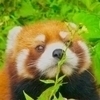 N. tomokaさんのプロフィール画像