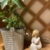 まゆみさんのプロフィール画像