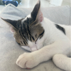 ユウキさんのプロフィール画像