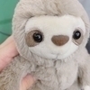 まえださんのプロフィール画像
