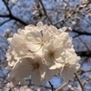 タツヤさんのプロフィール画像