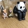 こむぎ