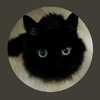 けいむさんのプロフィール画像