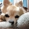 xxさんのプロフィール画像
