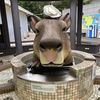 ぎんさんのプロフィール画像