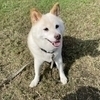 れいさんのプロフィール画像