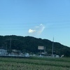 みみ子