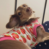 ふとももさんのプロフィール画像