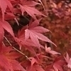 わわわさんのプロフィール画像