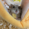 ユウヤさんのプロフィール画像
