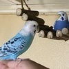 たまちゃんさんのプロフィール画像