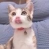 alanさんのプロフィール画像